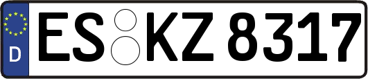 ES-KZ8317