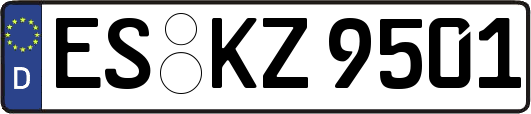 ES-KZ9501