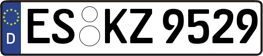ES-KZ9529