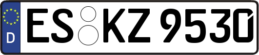 ES-KZ9530