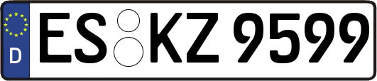 ES-KZ9599
