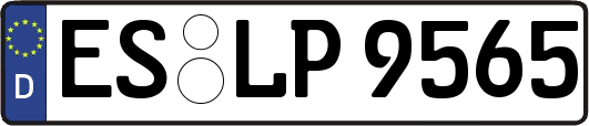 ES-LP9565