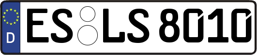 ES-LS8010