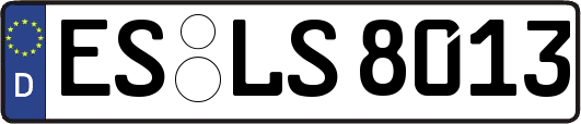 ES-LS8013