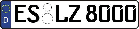 ES-LZ8000