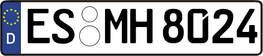 ES-MH8024