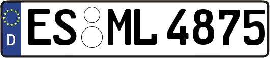 ES-ML4875