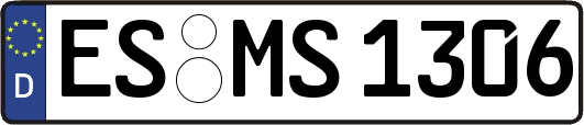ES-MS1306