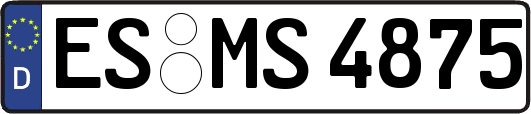 ES-MS4875