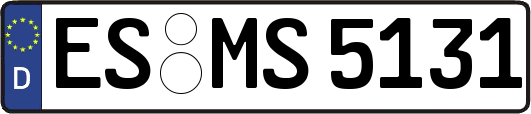 ES-MS5131