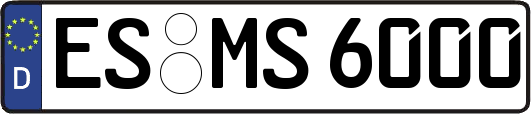 ES-MS6000