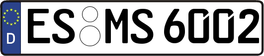 ES-MS6002