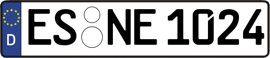 ES-NE1024