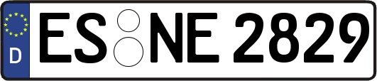 ES-NE2829