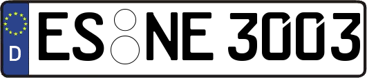 ES-NE3003