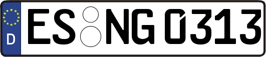 ES-NG0313