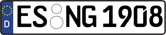 ES-NG1908