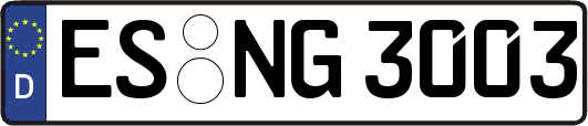 ES-NG3003