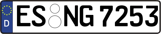 ES-NG7253