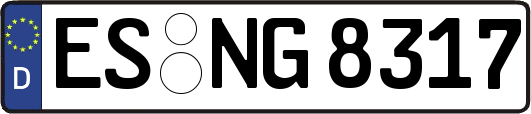 ES-NG8317