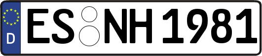 ES-NH1981