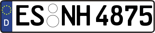 ES-NH4875