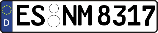 ES-NM8317