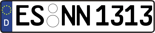 ES-NN1313
