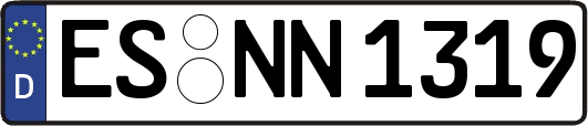 ES-NN1319