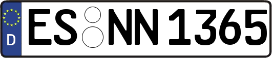 ES-NN1365