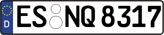 ES-NQ8317