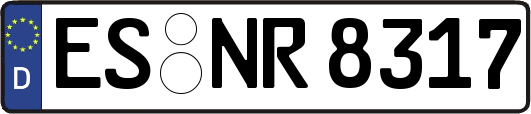 ES-NR8317