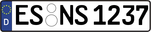 ES-NS1237