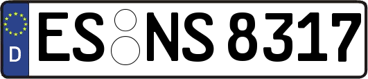 ES-NS8317