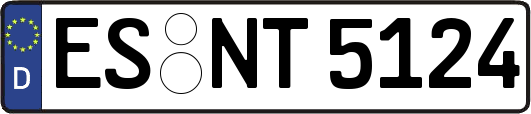 ES-NT5124