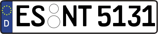 ES-NT5131