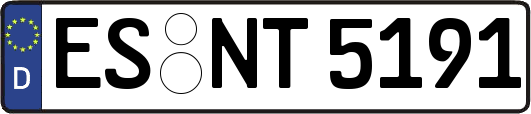 ES-NT5191