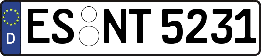 ES-NT5231