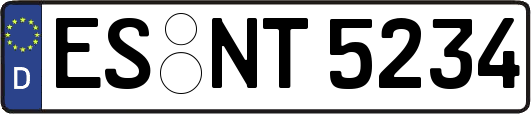 ES-NT5234