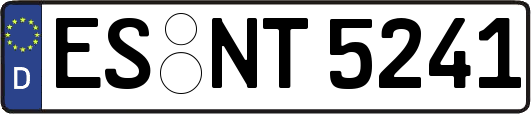 ES-NT5241