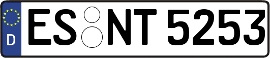 ES-NT5253