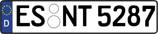 ES-NT5287