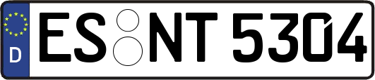 ES-NT5304