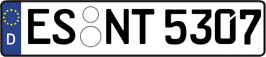 ES-NT5307