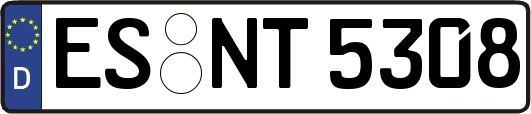 ES-NT5308