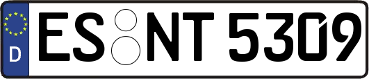 ES-NT5309