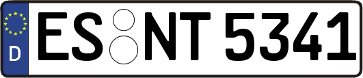 ES-NT5341