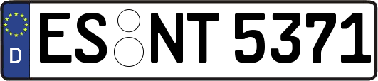 ES-NT5371