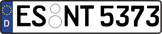 ES-NT5373