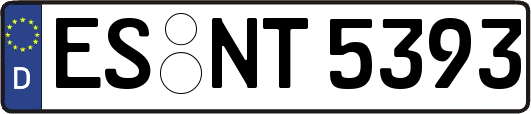 ES-NT5393